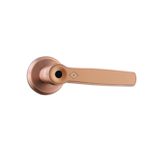 Home Smart Lock Metal <strong>Doors</strong> Locks Card Key <strong>Door</strong> <strong>Knob</strong> Biometric Fingerprint <strong>Door</strong> Handle - Product Image 2