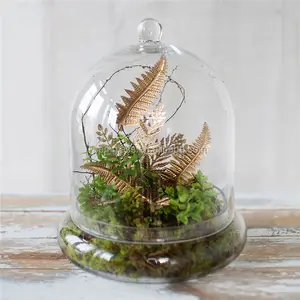 Садовая купольная стеклянная ваза для растений