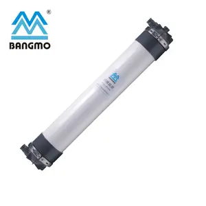 Bangmo 10 "matériau PVDF membrane d'ultrafiltration à fibers creuses UFf250 pour grand projet de traitement des eaux usées