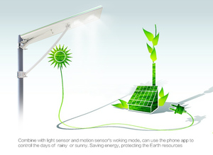 El fabricante de China <span class=keywords><strong>del</strong></span> precio al por mayor ip65 12v solar 30w llevó la luz de <span class=keywords><strong>calle</strong></span> - Product Image 5