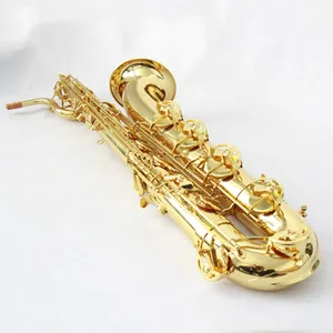 Saxophone Baritone Professional Chinese Sax FBS-580