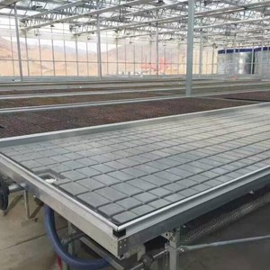 ระบบปลูกพืชแบบไฮโดรโปนิกส์ แบบน้ำขึ้นน้ำลง พร้อมแท่นปลูกแบบเคลื่อนที่ - Product Image 2