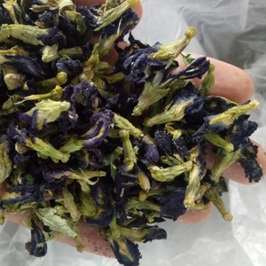 Kordofan-guisante mariposa azul para té saborizado, venta al por mayor, Tailandia - Product Image 5