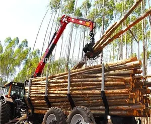 Traktor Menggunakan Hutan Hidrolik Log Trailer Kayu Kereta Kayu Loading Trailer Log Wagon dengan Crane Bergulat