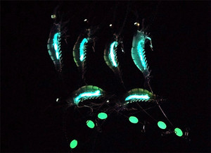 YOUME 9cm/6g leurre de pêche aux crevettes lumineux doux appât vivant avec crochet pour carpe en ABS et appât de natation en caoutchouc appât artificiel - Product Image 6