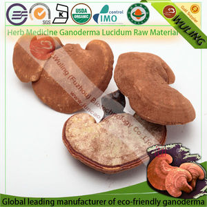 medicina de la hierba seca de <span class=keywords><strong>ganoderma</strong></span> <span class=keywords><strong>lucidum</strong></span> materia prima - Product Image 1