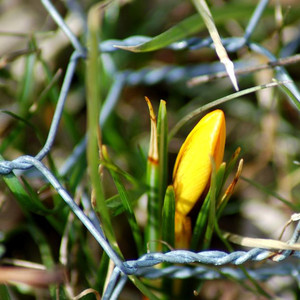 Hot dip電気亜鉛メッキ金網メッシュ六角形のメッシュ最低価格 - Product Image 6