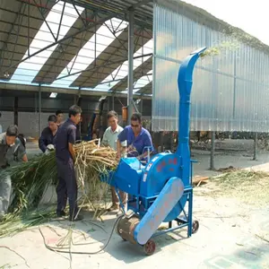 Máy móc nông nghiệp thức ăn gia súc chopper máy chaff cắt thiết bị nông nghiệp cắt ngô cuống máy nghiền