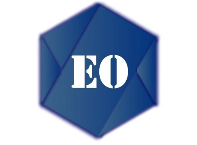 Shandong Everon Machinery Co., Ltd. logo
