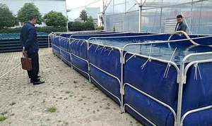 Imperméable Bâche De Réservoir D'eau, Enduite par <span class=keywords><strong>Couteau</strong></span> de Pvc Bâche Piscine Étang <span class=keywords><strong>à</strong></span> Poissons - Product Image 3