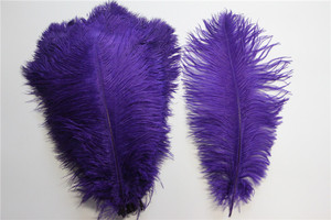 14 "-16" Al Por Mayor de la Tela Púrpura de Plumas de Avestruz Para la Decoración de Plumas de Avestruz Fan - Product Image 5