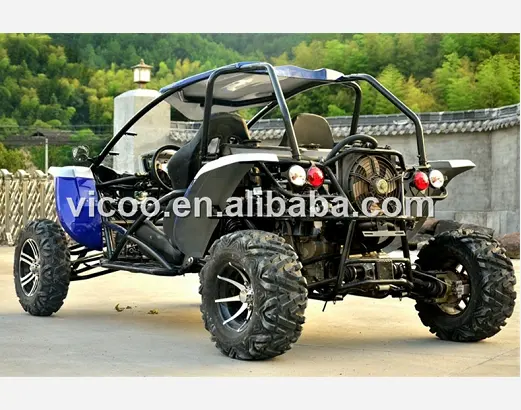 Neue Buggy 500cc EWG 2 sitze gehen kart