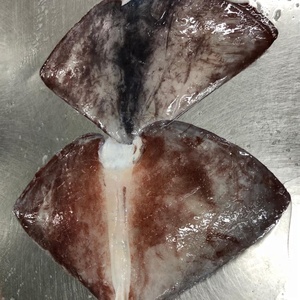 <span class=keywords><strong>ปีก</strong></span><span class=keywords><strong>ปลาหมึก</strong></span><span class=keywords><strong>ยักษ์</strong></span>แช่แข็งจากเปรู ราคาโรงงาน ผลิตในเปรู - Product Image 1