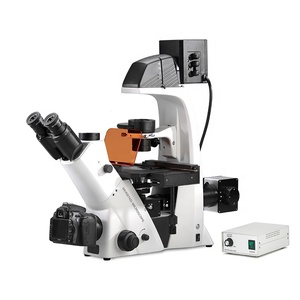 Médico/laboratorio/<span class=keywords><strong>hospital</strong></span> 400X Trinocular invertida de fluorescencia microscopio biológico - Product Image 1