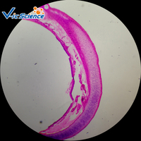 Quality Human Teaching Microscope Histology Prepared Slides (100kinds)