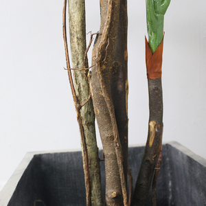 Sempreverde <span class=keywords><strong>di</strong></span> alta Simulazione Artificiale Monstera Deliciosa Piante <span class=keywords><strong>di</strong></span> Corteccia <span class=keywords><strong>di</strong></span> Albero con il Nero Vaso <span class=keywords><strong>di</strong></span> Plastica per La Casa e Giardino Decorazione - Product Image 5