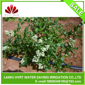 <span class=keywords><strong>Equipo</strong></span> <span class=keywords><strong>de</strong></span> Riego por <span class=keywords><strong>Goteo</strong></span> Agrícola Profesional <span class=keywords><strong>de</strong></span> China - Product Image 4