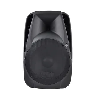 RQSONIC PMQ15AXQ 15 pollici 180W Alimentato Altoparlante Pro Audio Sistema di Altoparlanti Attivo