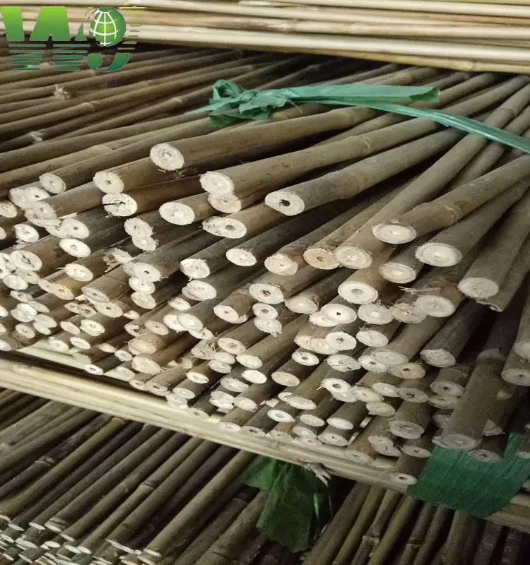 WY T-001 Manufaktur Tiang Bambu Moso Pertanian Lurus Kering Tiongkok