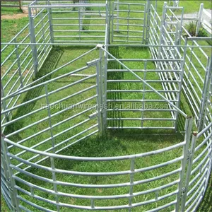 1.6mH de chaud-vente et des animaux utiles de panneaux de Bétail/clôture de Cheval