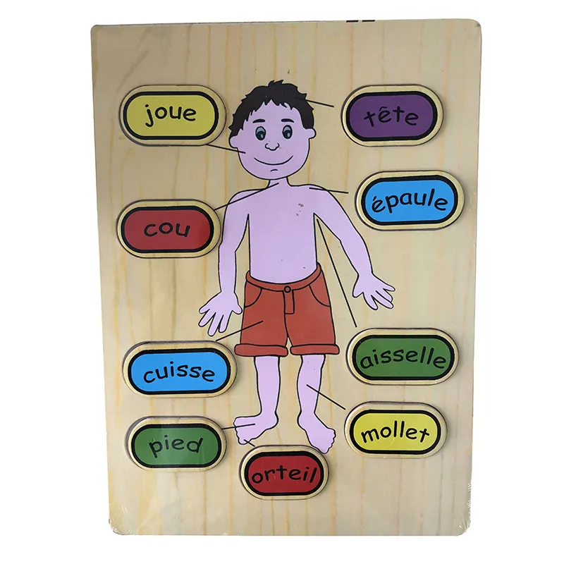 Baby kid wooden learning body organ name recognition france educational toys puzzle CBL3205