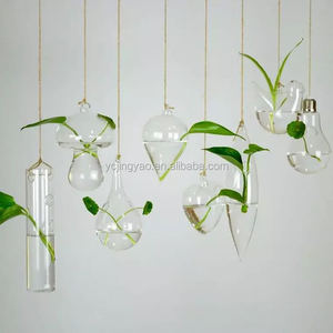 Terrario <span class=keywords><strong>di</strong></span> <span class=keywords><strong>Vetro</strong></span> Appeso <span class=keywords><strong>Vaso</strong></span> <span class=keywords><strong>di</strong></span> Bottiglia Fiore Pianta Decorazione <span class=keywords><strong>Giardino</strong></span> <span class=keywords><strong>di</strong></span> Casa <span class=keywords><strong>in</strong></span> Stile Bar Appeso <span class=keywords><strong>Vaso</strong></span> <span class=keywords><strong>di</strong></span> Fiori Da Sposa Centrotavola Vasi - Product Image 1