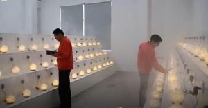 Xách Tay Mát Mist HẠT GỖ Điện Tử Siêu Âm Essential Warm Light Gỗ Hương Liệu Khuếch Tán Hương Thơm - Product Image 6