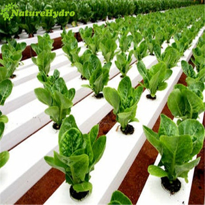 Sistemas de Cultivo Hidropónico <span class=keywords><strong>NFT</strong></span> Gully Verticales - Product Image 6
