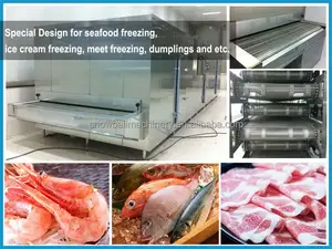 Pesce congelamento rapido macchina, iqf calamari blast freezer veloce, tunnel freezer, spirale doppie da freezer