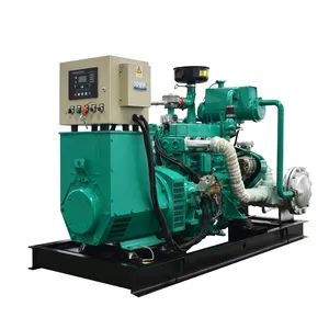 Generatore di biogas da 50 kw di potenza di backup CE e ISO 62.5 kva per elettricità