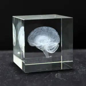 New Idea 3D Crystal Brain Hospital Souvenir for Doctor