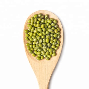 Petits <span class=keywords><strong>haricots</strong></span> vertes <span class=keywords><strong>frais</strong></span>, haute qualité, <span class=keywords><strong>prix</strong></span> en gros - Product Image 2
