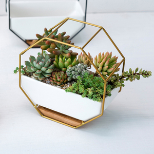 Vaso di <span class=keywords><strong>fiori</strong></span> in ceramica <span class=keywords><strong>per</strong></span> interni in stile nordico fatto a mano accessori <span class=keywords><strong>da</strong></span> giardino <span class=keywords><strong>per</strong></span> la casa o la scrivania <span class=keywords><strong>da</strong></span> parete fioriera - Product Image 2