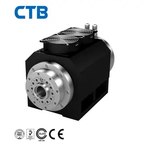 Brushless motor spindle