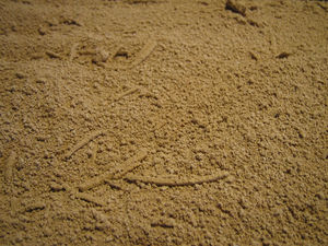 Denim lavado de enzima - Product Image 5