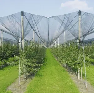 AB ve ABD pazarı 100% Bakire HDPE elma ağacı anti hail net