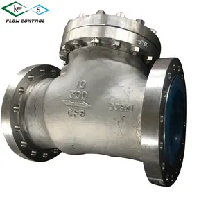 SS316 DN100 PN16 Flow Check Valve