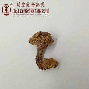 मशरूम उत्पादन कंपनी, एजिरकस ब्लेजी पाउडर - Product Image 5