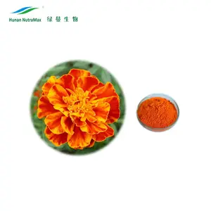 Marigold extrato de flor em pó, marigold oleoresin preço com suplemento alimentar