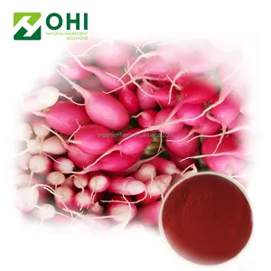 Red radish fruit extract price purple pigment for drink addictive