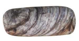 Regular en Forma <span class=keywords><strong>de</strong></span> U <span class=keywords><strong>Microesferas</strong></span> <span class=keywords><strong>de</strong></span> Viaje Cuello Almohada - Product Image 2