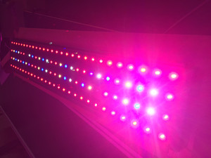 2016 Nouvelle Chine <span class=keywords><strong>120</strong></span> <span class=keywords><strong>cm</strong></span> Dimmable Lever Du Coucher Du Soleil Simulation Aqua Orage Corail Récif Utilisé Chinois <span class=keywords><strong>led</strong></span> <span class=keywords><strong>aquarium</strong></span> - Product Image 3