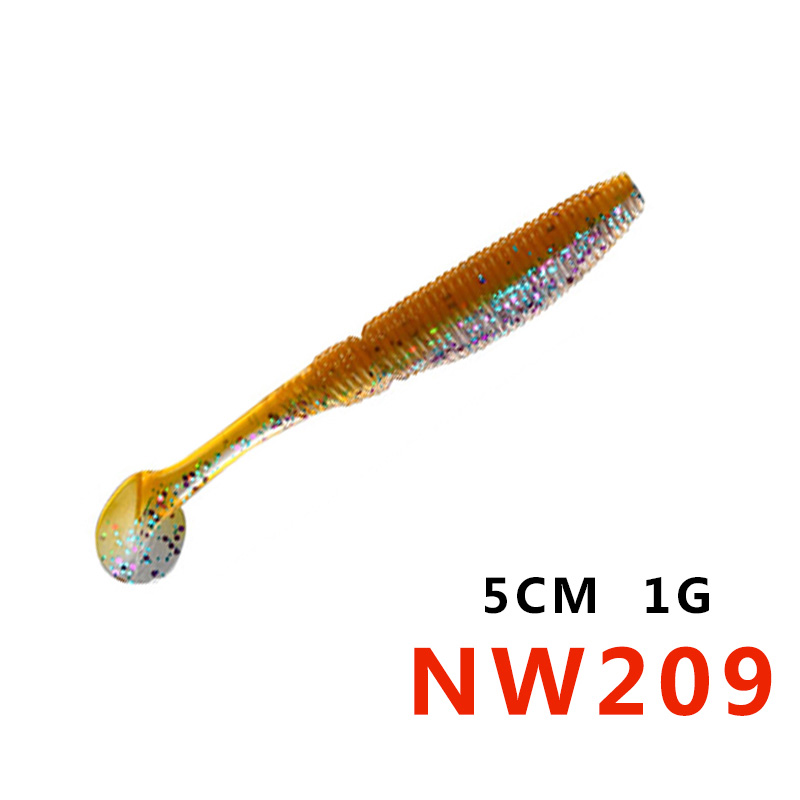 NW209