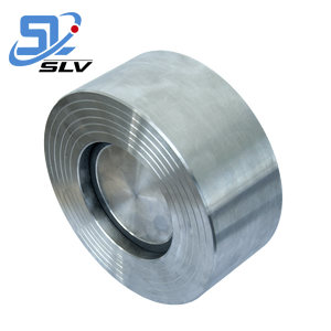 10 Inch Chống-gỉ SUS304 Bướm Kiểm Tra Van Không Trở Lại Van - Product Image 3