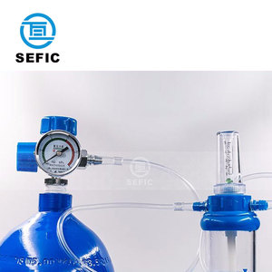 Penggunaan medis oksigen silinder 2L pasar dubai - Product Image 3