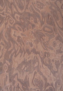 Placage décoratif en bois d'ingénierie : Frêne, Hêtre, Sapeli, <span class=keywords><strong>Noyer</strong></span> <span class=keywords><strong>noir</strong></span>, Teck de Birmanie, Chêne rouge, Érable - Product Image 5