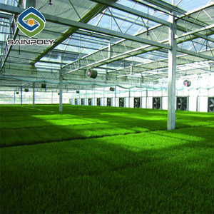 وحدات إطار من الصلب المجلفن Venlo أدوات الصوبة - Product Image 2