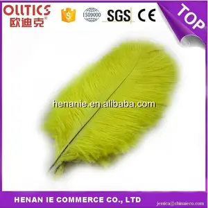 Décoration environ -35.56 cm Wholesale 10-100pcs Natural Rooster Tail Feather 30-35cm/12-14 in