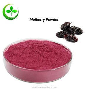 Bubuk jus murbei organik kualitas tinggi - Product Image 2