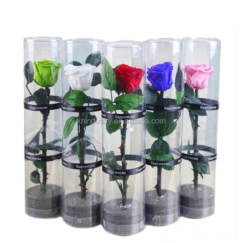 12 Rose Conservate Vere 5-6 Cm – Fiori Eterni Naturali Di Qualità Superiore – Durata 3-5 Anni – Verde - 2